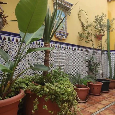 Gæstehus En Cádiz