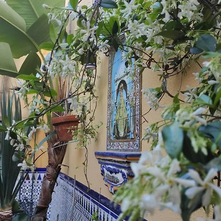 En 4* Cádiz